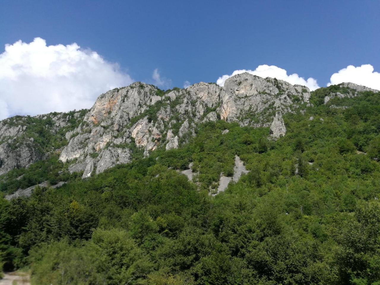 Hotel Juzni Vetar Trnski Odorovci Exteriér fotografie